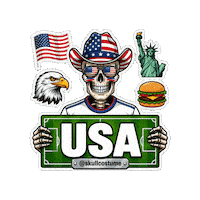Estados Unidos Soccer Sticker