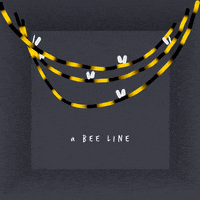 B Line Bee GIF by Reuben Armstrong