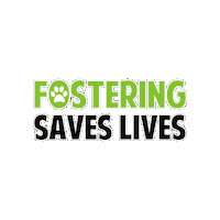 Foster Sticker by Alberta Animal Rescue Crew Society (AARCS)