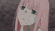 The Best GIF