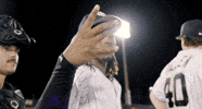 Baseball Win GIF by UCF Knights