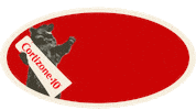 Voting Sticker by Cortizone-10