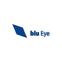 Itsecurity Itcompany Sticker by bluSystems