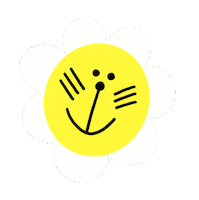 rocabalboa flower spring daisy roca balboa Sticker