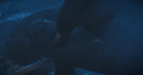 Grave Corpse GIF by King of Boys