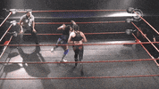 Fight Wrestling GIF by CNL Chile
