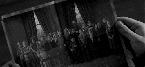 harry potter and the order of the phoenix GIF