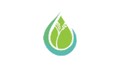 Peace Sticker by TREEducation