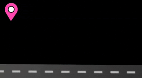 Dog Day Cat GIF by WHERE TO PET ?