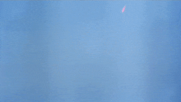 star wars wtf GIF by O&O, Inc