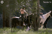Galloping Prince Charming GIF by The Bachelor Australia