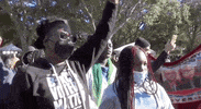 Verdict GIF by GIPHY News