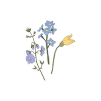 Art Summer Sticker