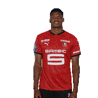 Ligue 1 Dance Sticker by Stade Rennais F.C.