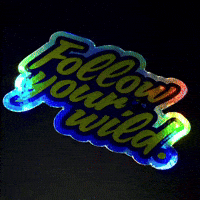 Into The Wild Travel GIF by Adventrgram