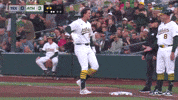 Sport Celebrate GIF by MLB