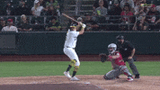 Home Run Sport GIF by MLB