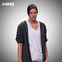 What The Hell Wtf GIF by SWR3