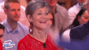 touche pas a mon poste lol GIF by C8