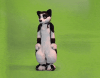 furrie i sit on you GIF by beeeky