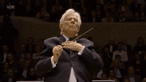 xela23 giphyupload GIF