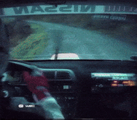 Car Crash Motorsport GIF by FIA World Rally Championship