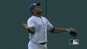Major League Baseball Sport GIF by MLB