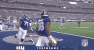 Regular Season Football GIF by NFL