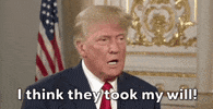 Will Donald Trump GIF by GIPHY News