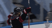 Ice Hockey Hug GIF by NHL