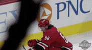 Celebrate Ice Hockey GIF by NHL