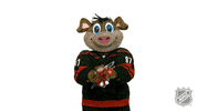 Ice Hockey Sport GIF by NHL