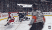 Happy Carolina Hurricanes GIF by NHL
