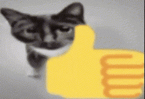 Cat Ok GIF