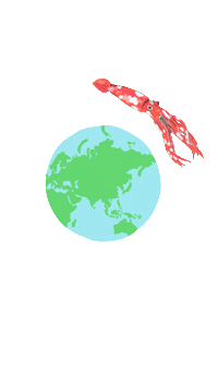 Sticker by Chronicle Books