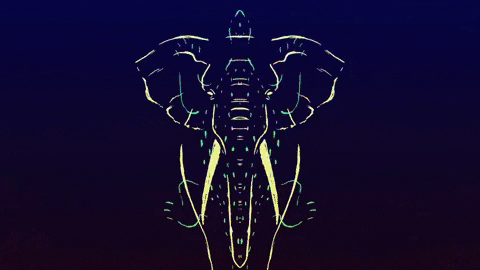 Morphing Max Cooper GIF by Sabine Volkert