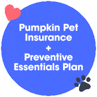 Pet Insurance Sticker by Pumpkin
