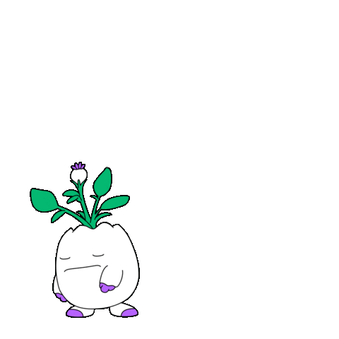 Paying Black Friday Sticker by Magic Eden