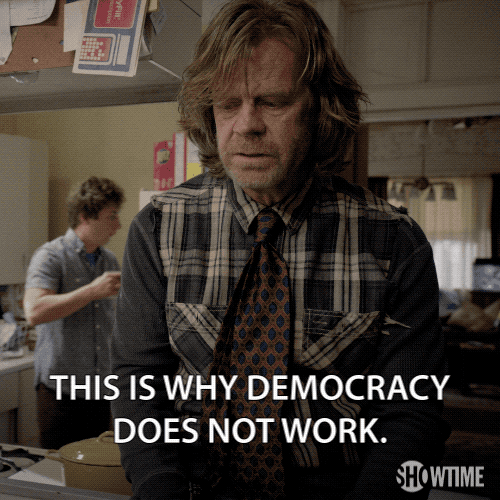 season 3 showtime GIF by Shameless