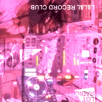 new york dance GIF by The Lot Radio