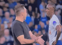 Roberto De Zerbi GIF by memes