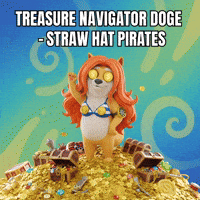 Waving One Piece GIF by Doge Pound
