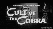 cult film horror GIF by RETRO-FIEND