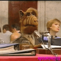 1980s tv 80s GIF by absurdnoise