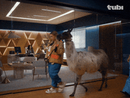 Lauren Graham Elliot GIF by Tubi