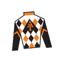 Horse Racing Sticker by Kentucky Derby