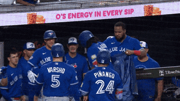 Blue Jays Baseball GIF by Toronto Blue Jays