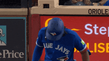 Blue Jays Baseball GIF by Toronto Blue Jays