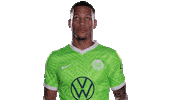 Football Swipe Up Sticker by VfL Wolfsburg
