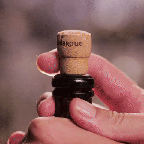 Beer Explode GIF by ADWEEK